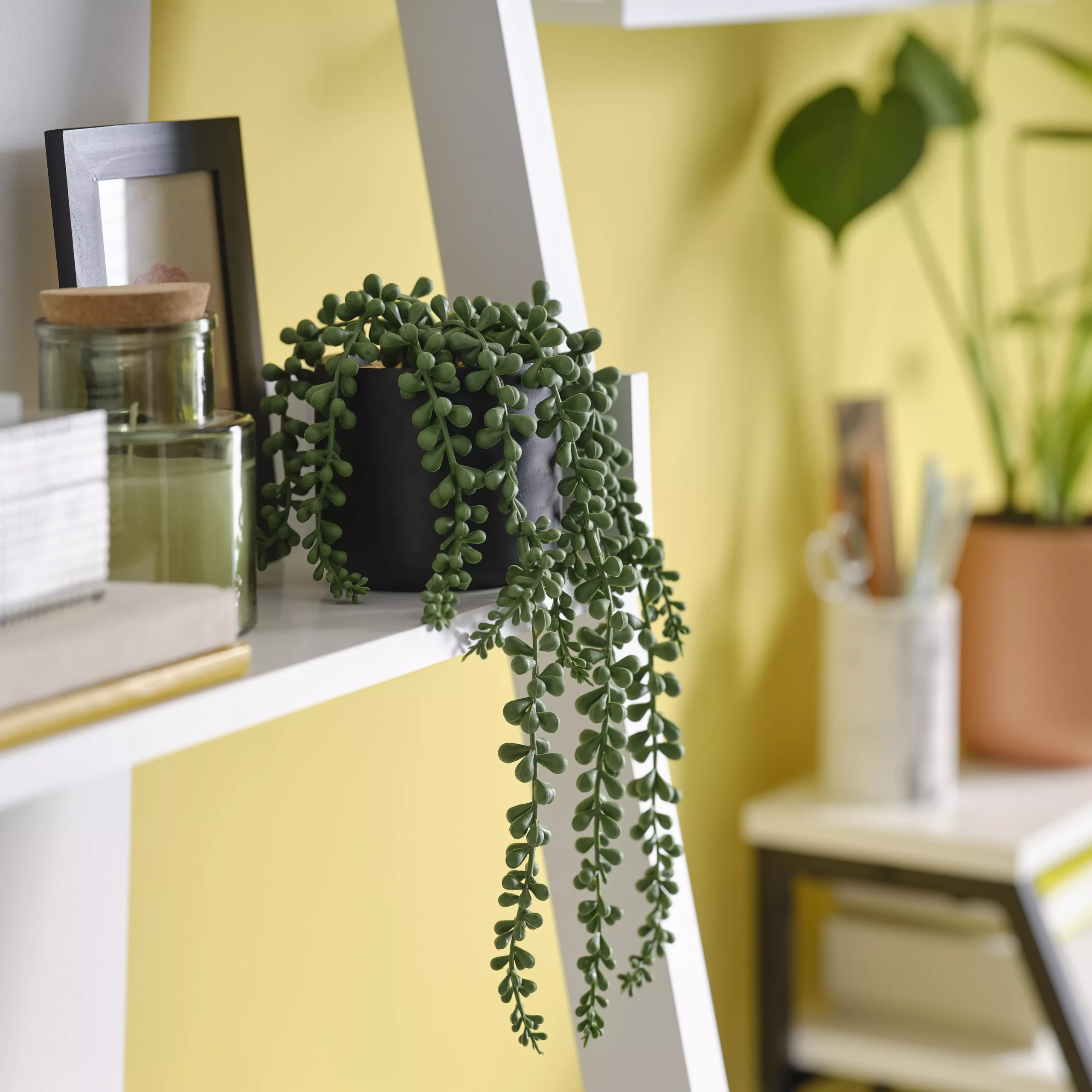 12cm String Of Pearls Artificial Plant In Black Ceramic Pot 5 12cm String Of Pearls Artificial Plant In Black Ceramic Pot - Image 3