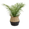 20cm Palm Artificial Plant In Natural Wicker Basket 2 20cm Palm Artificial Plant In Natural Wicker Basket -Gardens And Landscaping 20cm palm artificial plant in natural wicker basket5010795682577 01c bq