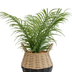 Gardens And Landscaping -Gardens And Landscaping 20cm palm artificial plant in natural wicker basket5010795682577 36c bq