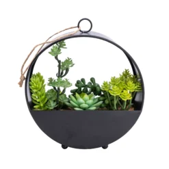 Gardens And Landscaping -Gardens And Landscaping 23cm succulent artificial plant in black metal pot5010795682485 02c bq