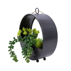 23cm Succulent Artificial Plant In Black Metal Pot 6 23cm Succulent Artificial Plant In Black Metal Pot -Gardens And Landscaping 23cm succulent artificial plant in black metal pot5010795682485 03c bq