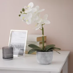 25cm White Orchid Artificial Plant In Grey Ceramic Pot 7 25cm White Orchid Artificial Plant In Grey Ceramic Pot -Gardens And Landscaping 25cm white orchid artificial plant in grey ceramic pot5010795682669 01i