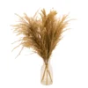 49cm Natural Pampas Grass Artificial Plant In Clear Glass Vase -Gardens And Landscaping 49cm natural pampas grass artificial plant in clear glass vase5010795682621 01c bq