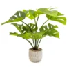 50cm Cheese Plant Artificial Plant In Grey Ceramic Pot -Gardens And Landscaping 50cm cheese plant artificial plant in grey ceramic pot5010795630837 01c bq
