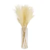 64cm White Pampas Grass Artificial Plant In Clear Glass Vase -Gardens And Landscaping 64cm white pampas grass artificial plant in clear glass vase5010795682614 03c bq