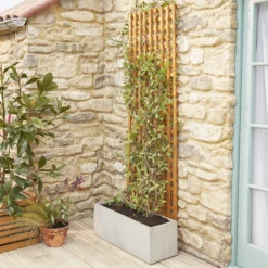 6ft Pine Trellis Panel (W)122cm X (H)183cm -Gardens And Landscaping 6ft pine trellis panel w 122cm x h 183cm3663602430636 04bq