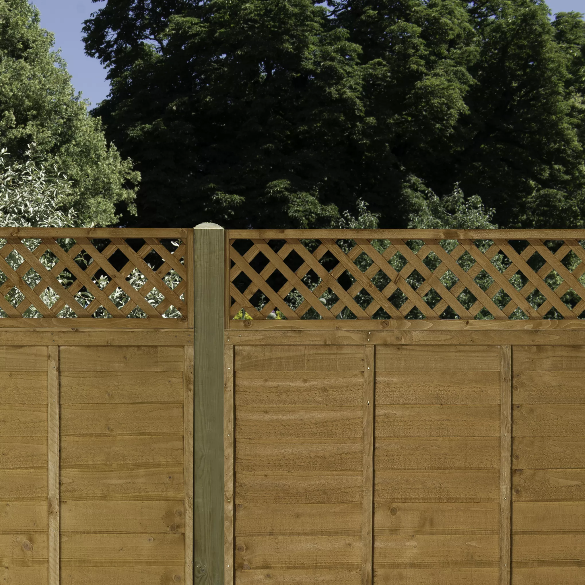 Diamond Pine Trellis Panel, Pack Of 3 (W)183cm X (H)32cm 5 Diamond Pine Trellis Panel, Pack Of 3 (W)183cm X (H)32cm - Image 3