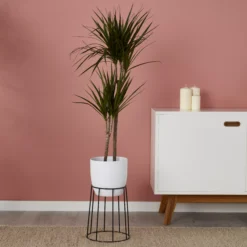 GoodHome Metal Pot Stand 9 GoodHome Metal Pot Stand -Gardens And Landscaping goodhome metal pot stand3663602442387 01i bq