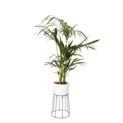 GoodHome Metal Pot Stand 8 GoodHome Metal Pot Stand -Gardens And Landscaping goodhome metal pot stand3663602442387 21c bq