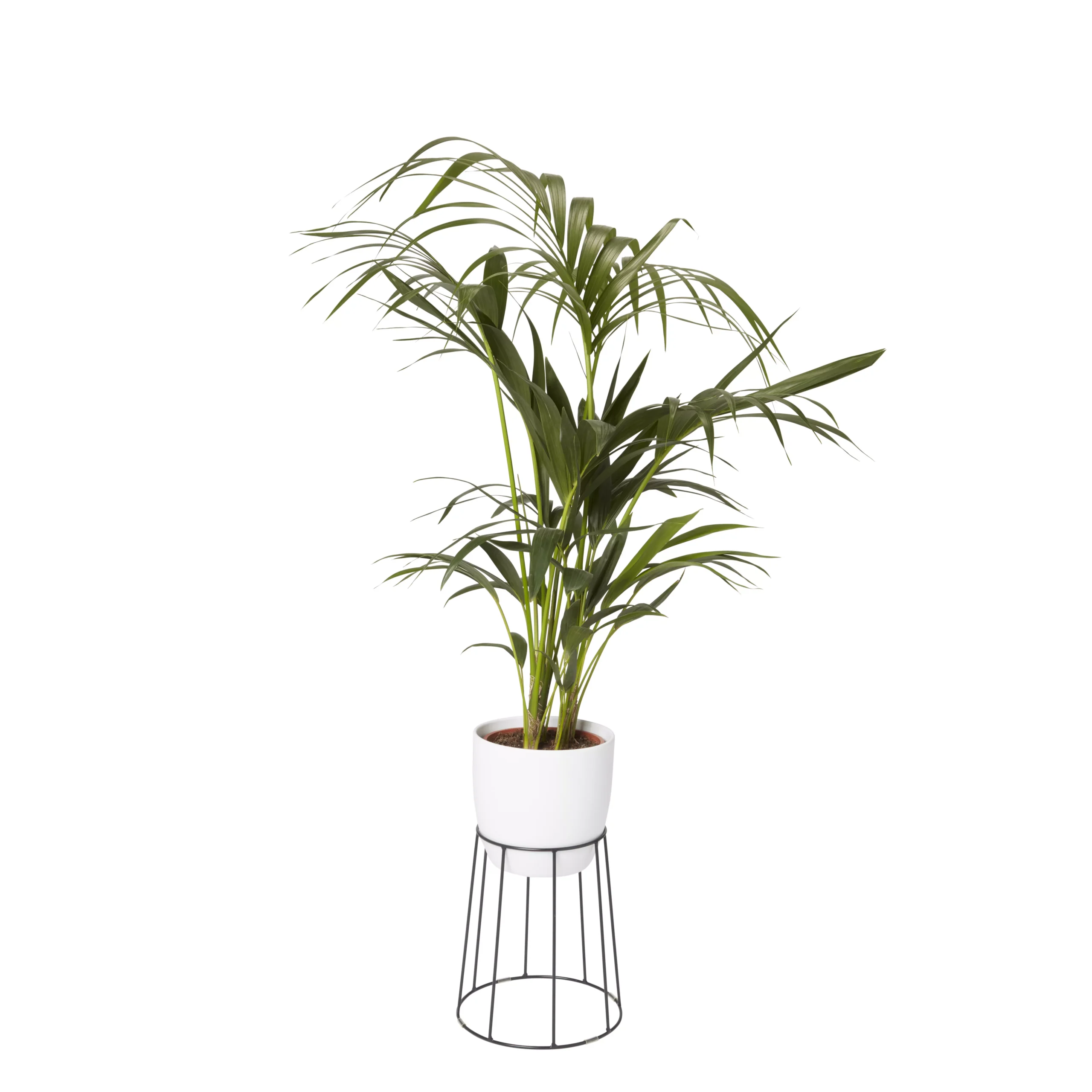 GoodHome Metal Pot Stand 5 GoodHome Metal Pot Stand - Image 3