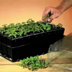 Haxnicks Deep Rootrainer 37cm 7 Haxnicks Deep Rootrainer 37cm -Gardens And Landscaping haxnicks deep rootrainer 37cm0651609107012 01i