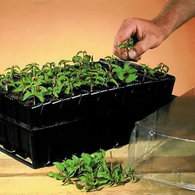 Haxnicks Deep Rootrainer 37cm 5 Haxnicks Deep Rootrainer 37cm - Image 3