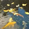 Hozelock Polyester Pond Cover Net 0.23x0.11m -Gardens And Landscaping hozelock polyester pond cover net 0 23x0 11m5010646053600 01i