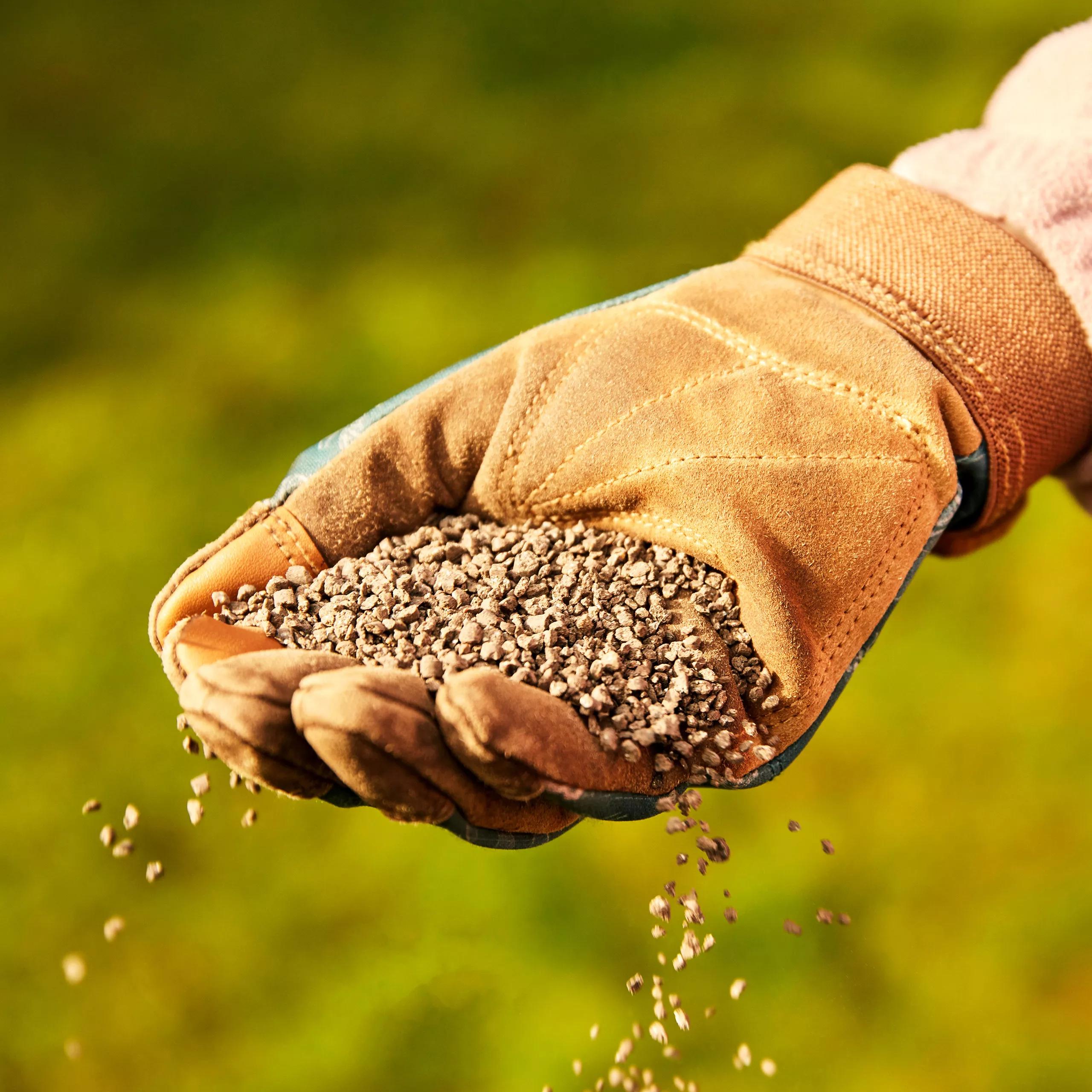 Miracle-Gro Perform Universal Plant Feed Granules 2kg 5 Miracle-Gro Perform Universal Plant Feed Granules 2kg - Image 3