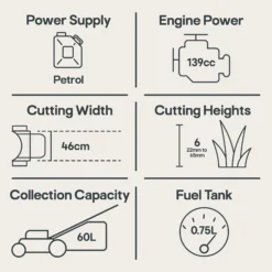 Mountfield SP185 139cc Petrol Rotary Lawnmower -Gardens And Landscaping mountfield sp185 139cc petrol rotary lawnmower8008984856332 01t EN bq