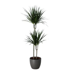 Never Plant In 24cm Assorted Ceramic Decorative Pot -Gardens And Landscaping never plant in 24cm assorted ceramic decorative pot5059340827834 22c