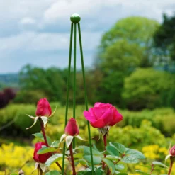 Panacea Circular Obelisks, 1.4m 5 Panacea Circular Obelisks, 1.4m -Gardens And Landscaping panacea circular obelisks 1 4m0093432825631 01i bq