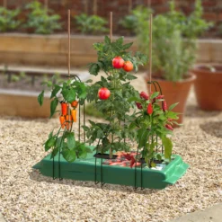 Panacea Steel Curved Plant Support Frame (L)47cm (Dia)35cm, Set Of 3 5 Panacea Steel Curved Plant Support Frame (L)47cm (Dia)35cm, Set Of 3 -Gardens And Landscaping panacea steel curved plant support frame l 47cm dia 35cm set of 30093432825488 01i bq