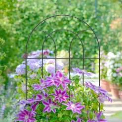 Panacea Steel Plant Support Frame (L)182cm (Dia)56cm 5 Panacea Steel Plant Support Frame (L)182cm (Dia)56cm -Gardens And Landscaping panacea steel plant support frame l 182cm dia 56cm0093432825556 01i bq