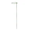 Panacea Steel Single Stem Plant Support (L)75cm (Dia)15cm, Pack Of 3 -Gardens And Landscaping panacea steel single stem plant support l 75cm dia 15cm pack of 30093432825433 01c bq