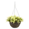 Smart Garden Petunia Artificial Green Round Plastic Hanging Basket, 25cm -Gardens And Landscaping smart garden petunia artificial green round plastic hanging basket 25cm5050642019187 02c bq