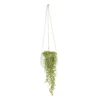 String Of Beads In 13cm White Ceramic Hanging Pot 2 String Of Beads In 13cm White Ceramic Hanging Pot -Gardens And Landscaping string of beads in 13cm white ceramic hanging pot3663602497356 02c bq