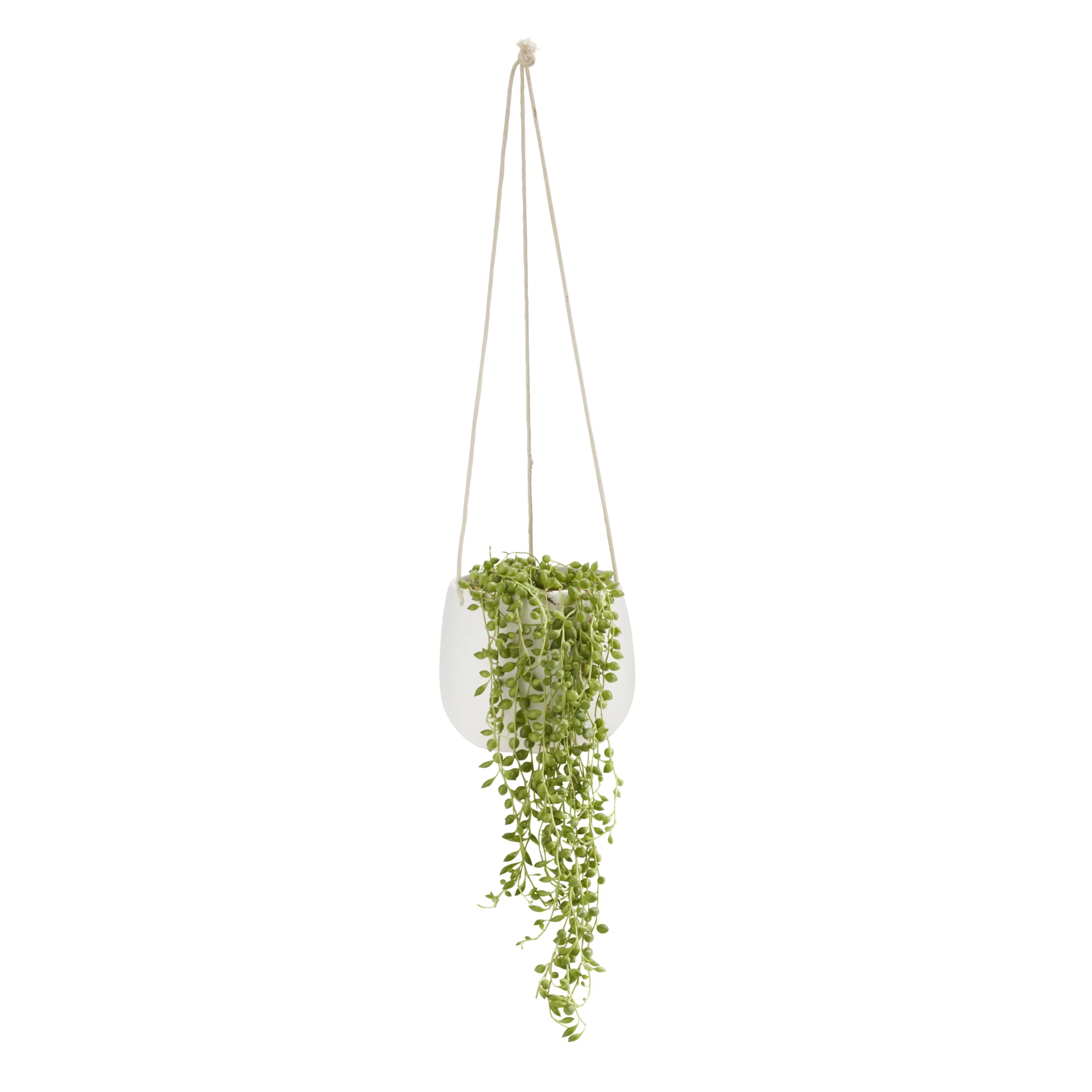 String Of Beads In 13cm White Ceramic Hanging Pot 3 String Of Beads In 13cm White Ceramic Hanging Pot