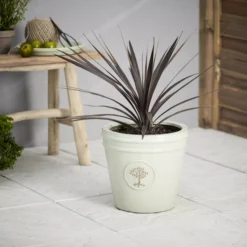 Verve Barcău Olive Ceramic Circular Plant Pot (Dia)32cm 7 Verve Barcău Olive Ceramic Circular Plant Pot (Dia)32cm -Gardens And Landscaping verve barcau olive ceramic circular plant pot dia 32cm5059340327785 01i