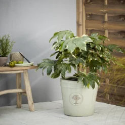 Verve Barcău Olive Ceramic Circular Plant Pot (Dia)40cm -Gardens And Landscaping verve barcau olive ceramic circular plant pot dia 40cm5059340327761 01i