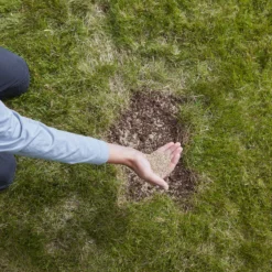 Verve Easy Start Coated Grass Seeds, 1.5kg -Gardens And Landscaping verve easy start coated grass seeds 1 5kg3663602947493 03i