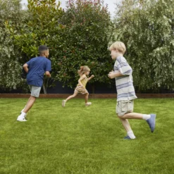 Verve Family & Sports Grass Seeds, 1.5kg -Gardens And Landscaping verve family sports grass seeds 1 5kg3663602947516 01i