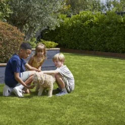 Verve Family & Sports Grass Seeds, 10kg 17 Verve Family & Sports Grass Seeds, 10kg -Gardens And Landscaping verve family sports grass seeds 10kg3663602947516 04i