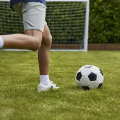 Verve Family & Sports Grass Seeds, 10kg 19 Verve Family & Sports Grass Seeds, 10kg -Gardens And Landscaping verve family sports grass seeds 10kg3663602947516 06i