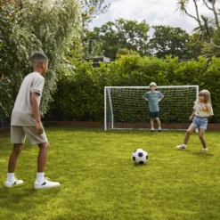 Verve Family & Sports Grass Seeds, 5kg -Gardens And Landscaping verve family sports grass seeds 5kg3663602947516 09i