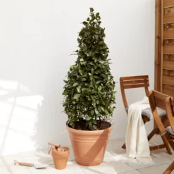 Verve Piave Terracotta Polypropylene (PP) Round Plant Pot (Dia)45cm -Gardens And Landscaping verve piave terracotta polypropylene pp round plant pot dia 45cm5059340327822 01i