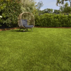 Verve Sunny Grass Seeds, 5kg -Gardens And Landscaping verve sunny grass seeds 5kg3663602947578 01i